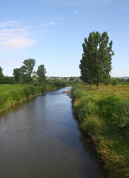 istock Ropa river ,willow trees and polders in Jaslo 187628584