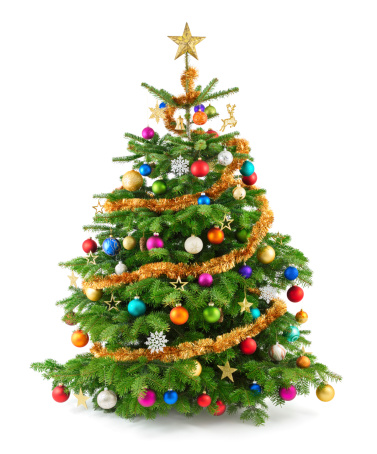 Decorated large outdoor Christmas tree with colorful lights and ornaments