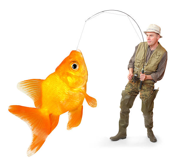 istock The fisherman with his big Goldfish. 187632878