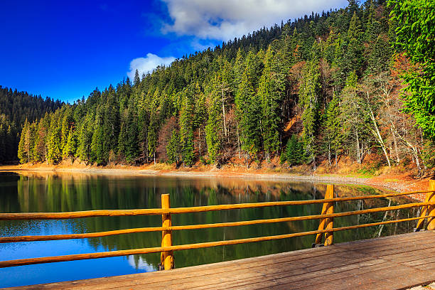 istock fence on mountain Lake near  forest 187632916