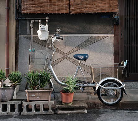 Small silver bicycle parked behind pot plants on the side of a street.