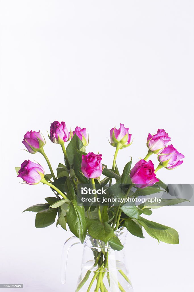 Pink roses en vidrio sobre fondo blanco jarra - Foto de stock de Agua libre de derechos