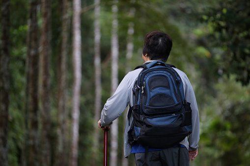 An Asian woman is hiking at nature reserve forest