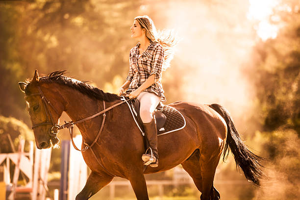 istock Woman horseback riding at sunset. 187639580