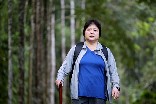 An Asian woman is hiking at nature reserve forest