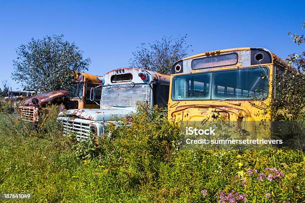 스쿨 버스s 정크 발착장 0명에 대한 스톡 사진 및 기타 이미지 - 0명, 가을, 거친