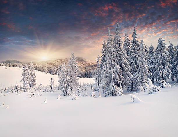 istock Beautiful winter landscape in the mountains 187643478