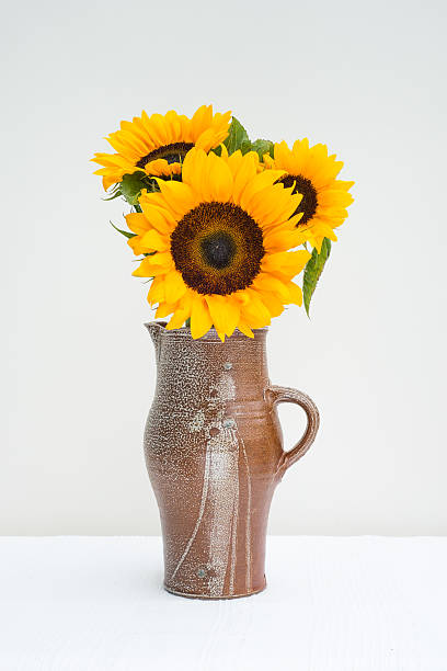 istock Golden sunflowers in a jug 187643487