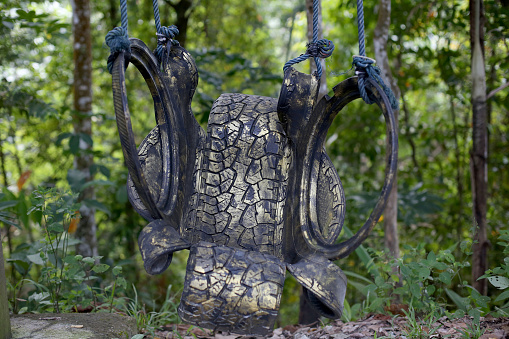 Reusable tire swing in nature reserve forest