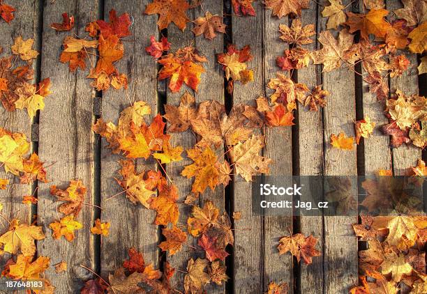 가을 낙엽 0명에 대한 스톡 사진 및 기타 이미지 - 0명, 가을, 건설 프레임
