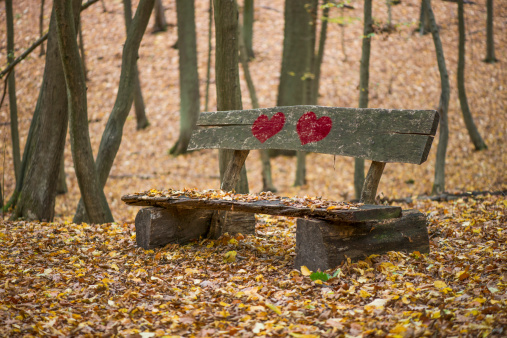Red hearts in wooden bench, autumn scene