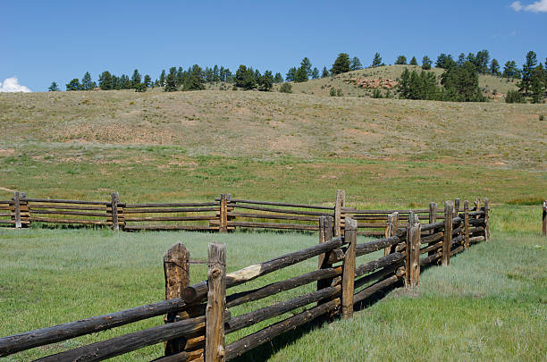 Log Fence in the Mountains
