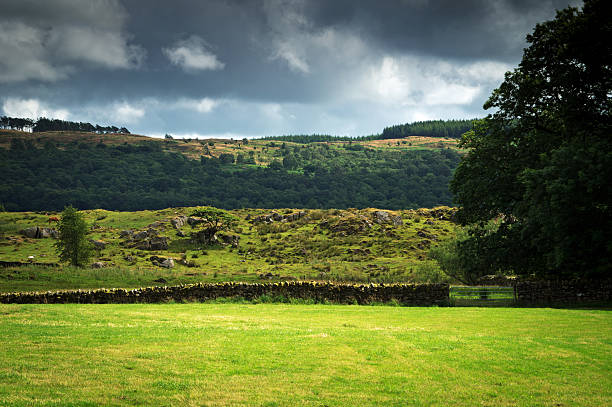 vista de una pared de piedra en cumbria seco - nibthwaite fotografías e imágenes de stock