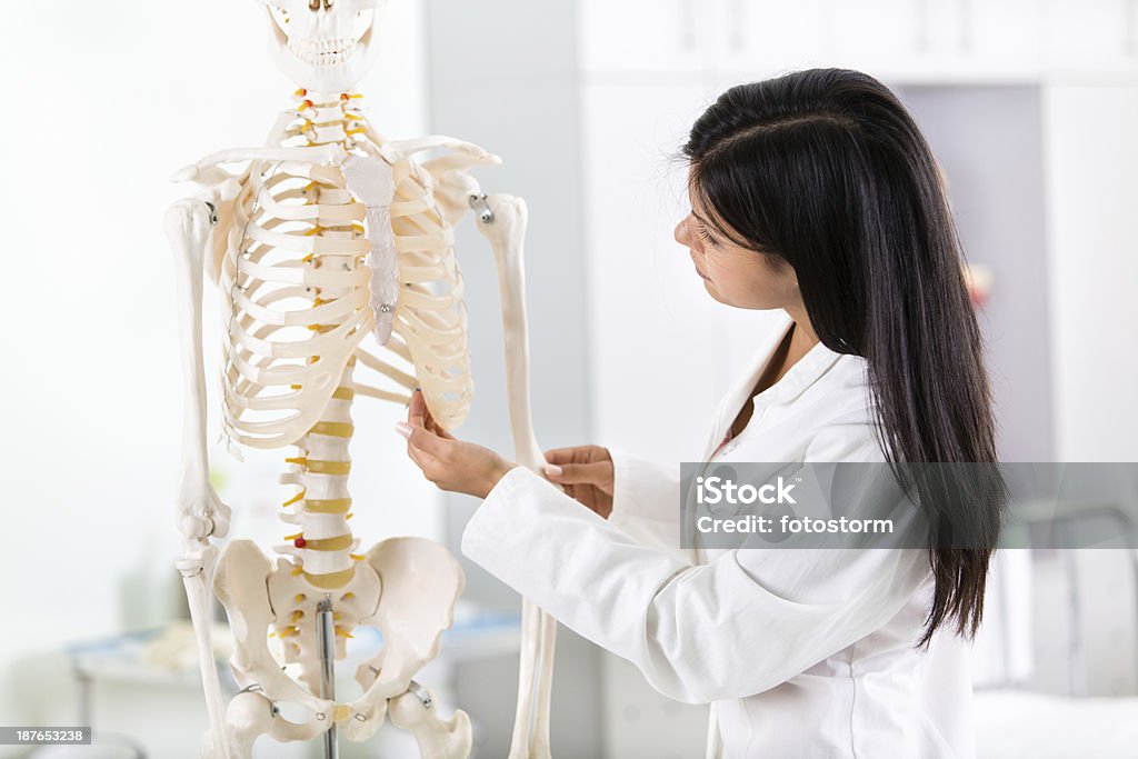 Estudante olhando para Esqueleto Humano - Royalty-free Declínio Foto de stock