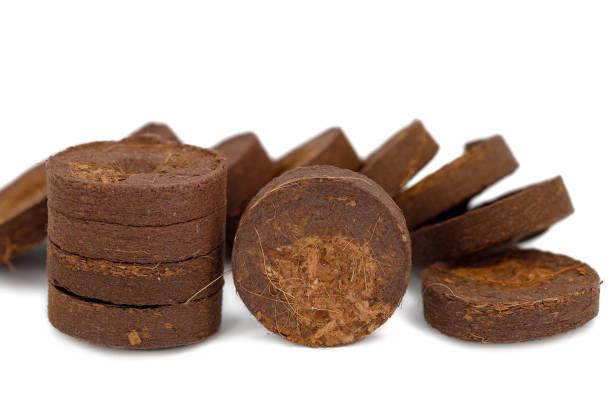 coconut source tablets for easy cultivation from seeds, pressed cocos briquetts for planting seeds isolated on white background coconut source tablets for easy cultivation from seeds, pressed cocos briquetts for planting seeds isolated on white background. Peat stock pictures, royalty-free photos & images