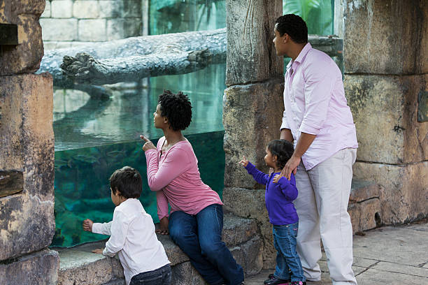 istock Family at the zoo 187653682