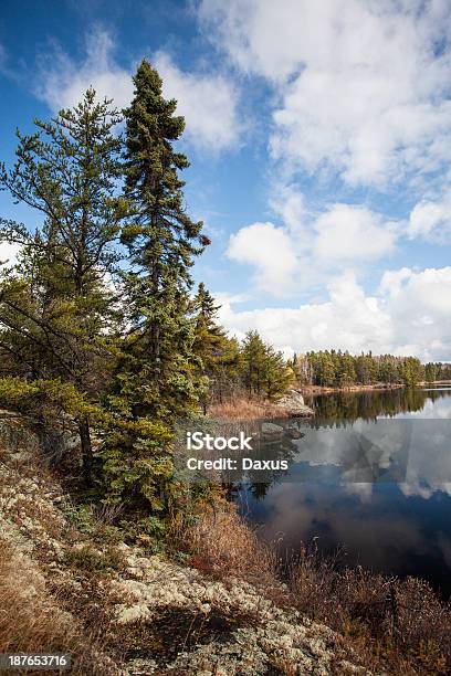 Lago Riserva - Fotografie stock e altre immagini di Acqua - Acqua, Albero, Ambientazione esterna