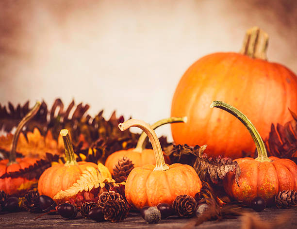 istock Autumnal Thanksgiving Arrangement 187659301
