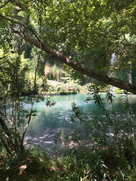 istock kursunlu fall and kursunlu jungle 1876619035