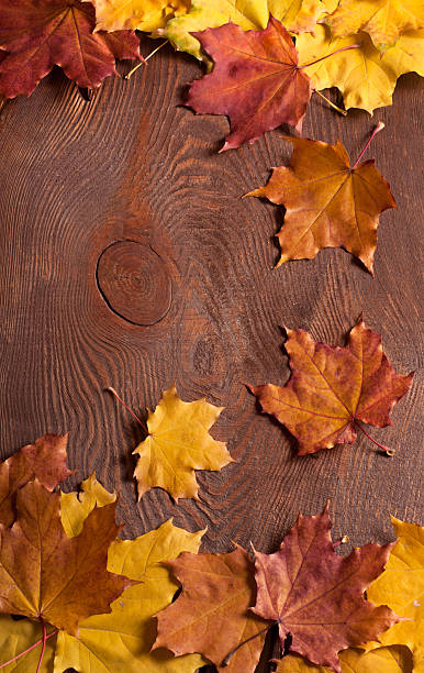 Autumn frame stock photo
