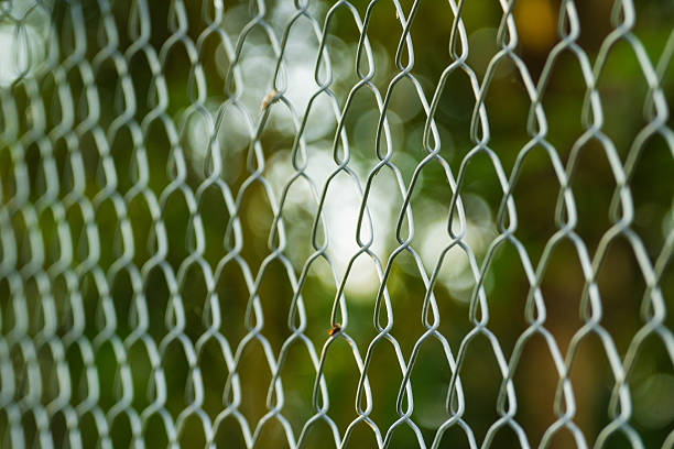 istock steel wire fence 187666047