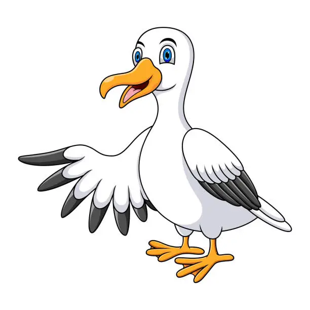 Vector illustration of Cartoon funny seagull presenting isolated on white background