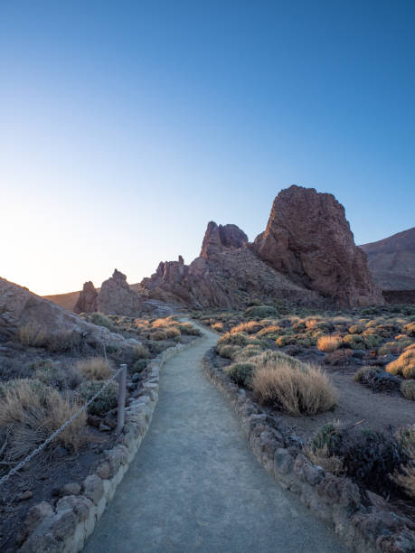 istock Landscape of Teide National Park 1876701038