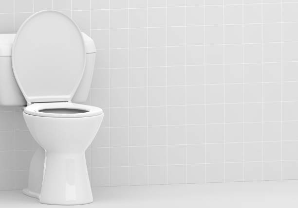 istock Toilet bowl in the bathroom 1876704590