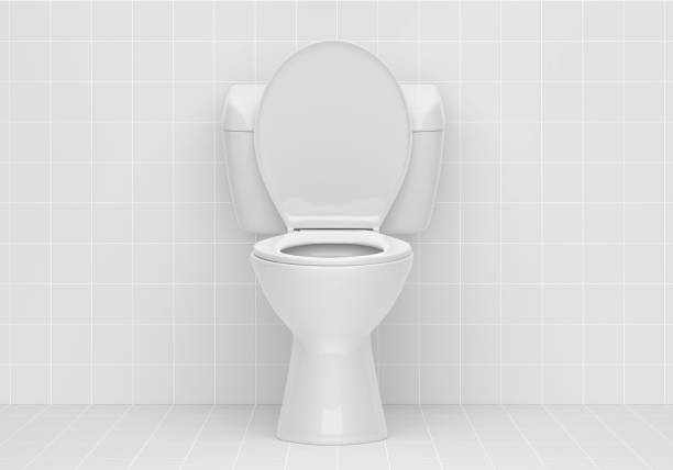 istock Toilet bowl in the bathroom 1876710386