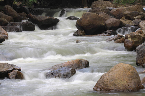 istock the flow of water in a creek 187671216