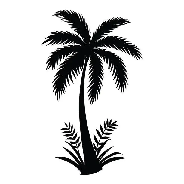 Vector illustration of A silhouette of Date Palm tropical tree. Silhouette vector illustration