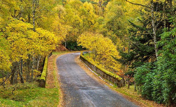 istock Speyside,road to Autumn 187673176