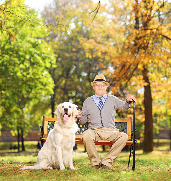 istock Senior man sitting on bench with his dog in park 187673283