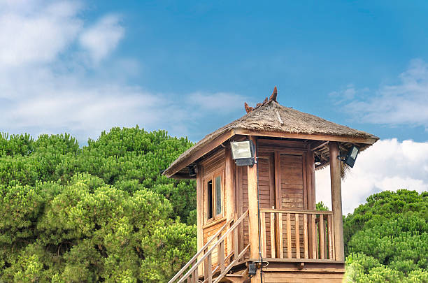 istock Tropical wooden Tree House 187673575
