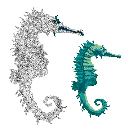 Seahorse marine life outline low-polygon on a white background    vector illustration editable hand draw
