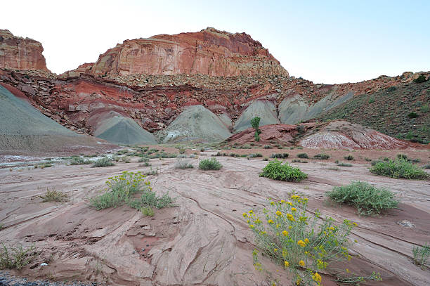 istock Capital Reef National Park 187673966