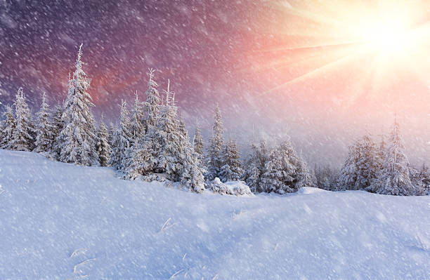 istock Snowstorm in the mountain forest 187675039