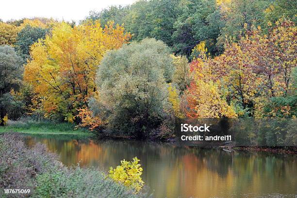 Den Herbst Stockfoto und mehr Bilder von Fotografie - Fotografie, Hartholzbaum, Headwaters-Wald
