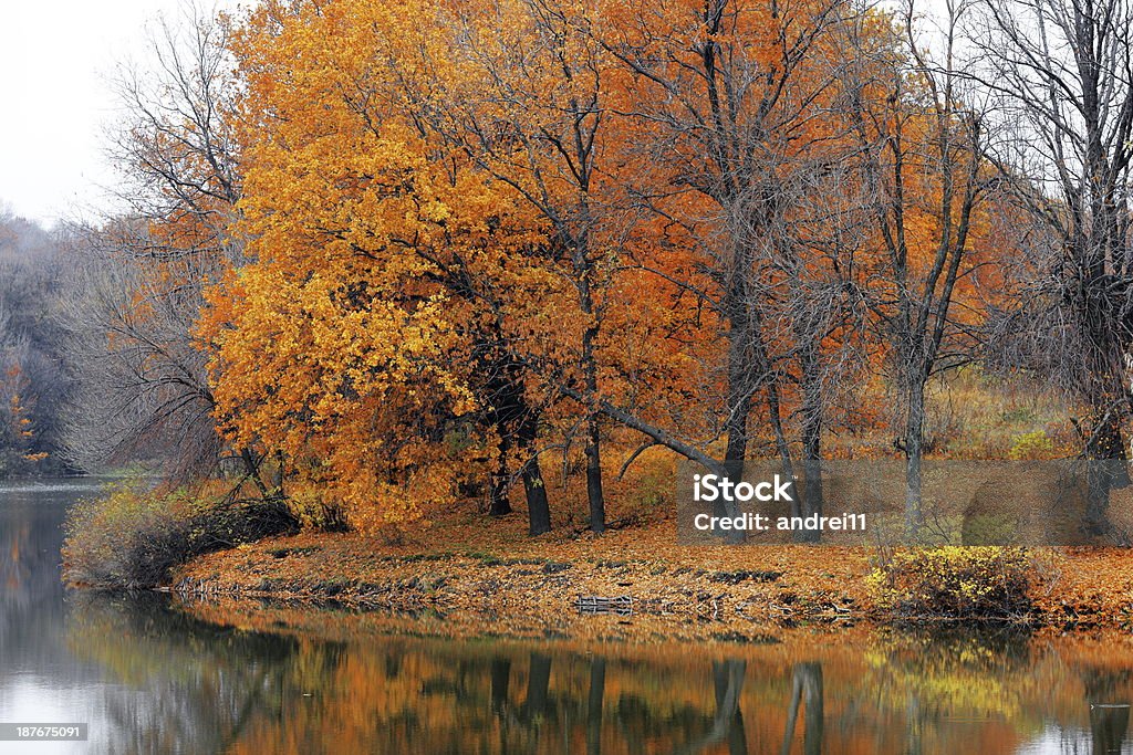 秋 - なだらかな起伏のある地形のロイヤリティフリーストックフォト