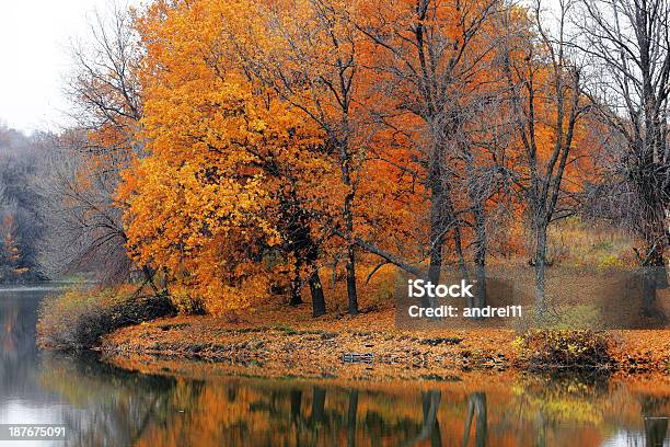 秋 - なだらかな起伏のある地形のストックフォトや画像を多数ご用意 - なだらかな起伏のある地形, ヘッドウォーターズフォレスト, 人物なし