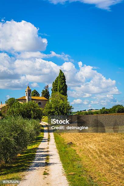 Strada Di Campagna Con Alberi Di Ulivo - Fotografie stock e altre immagini di Agricoltura - Agricoltura, Albero, Ambientazione esterna