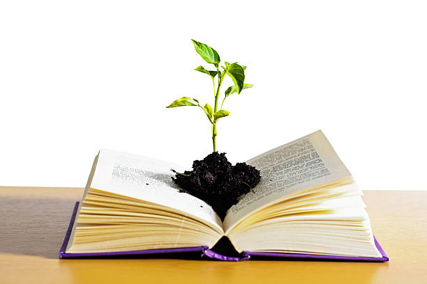 istock Reading inspires a fertile mind 187677742