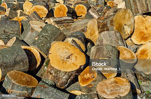 Recentemente Cortada Registos - Fotografias de stock e mais imagens de Agrafo - Agrafo, Amarelo, Amontoar