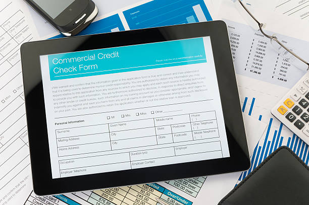istock Commercial credit check form on a digital tablet 187680996
