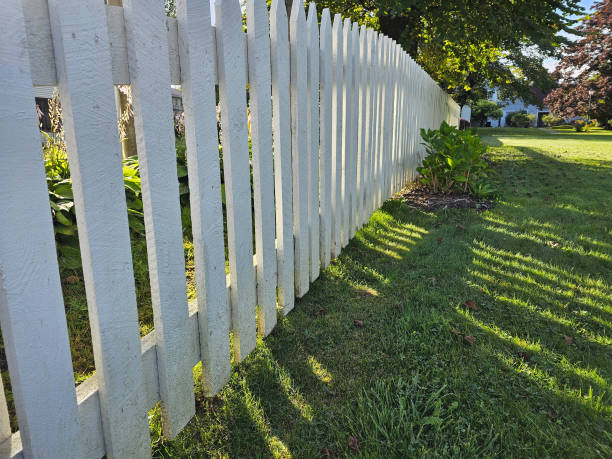 istock White Picket Fence Along Yard 1876822194