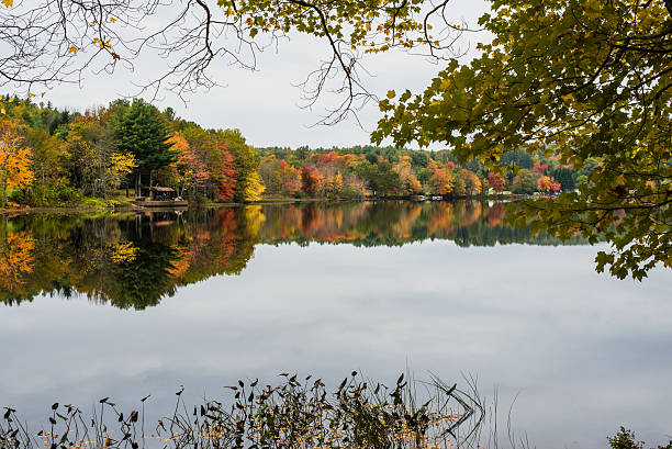 istock Autumn foliage reflections in the lake 187687016
