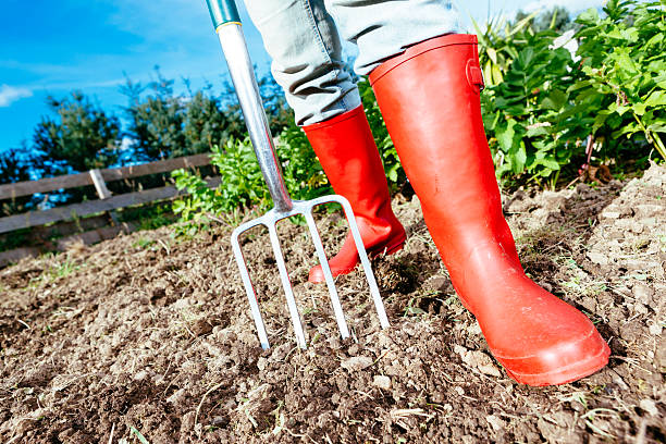 istock Female gardener with garden fork 187687649