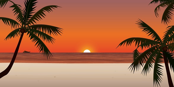 Sunset at white sand beach with yacht at the horizon have silhouetted coconut tree foreground vector illustration. seaside sunset concept flat design.