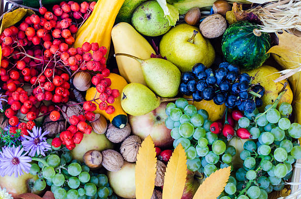 istock autumn fruits 187691614