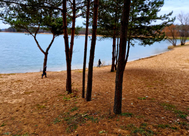 mark with a crossed out swimsuit symbol. nudist beach with sand and pine trees. it is not possible to enter this beach dressed. beach dress code. very popular with nudists crossed out, beware, unofficial, unoficial, pinus sylvestris, hardening, nudity nudie suit stock pictures, royalty-free photos & images